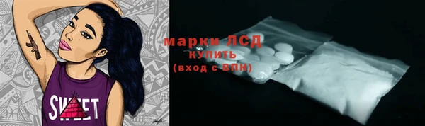 спайс Няндома
