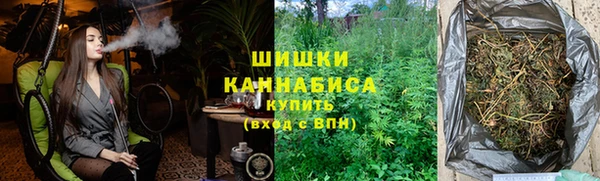 спайс Няндома