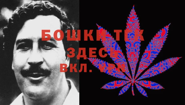 спайс Няндома