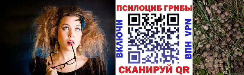 Галлюциногенные грибы GOLDEN TEACHER  Купить где  Михайловка 